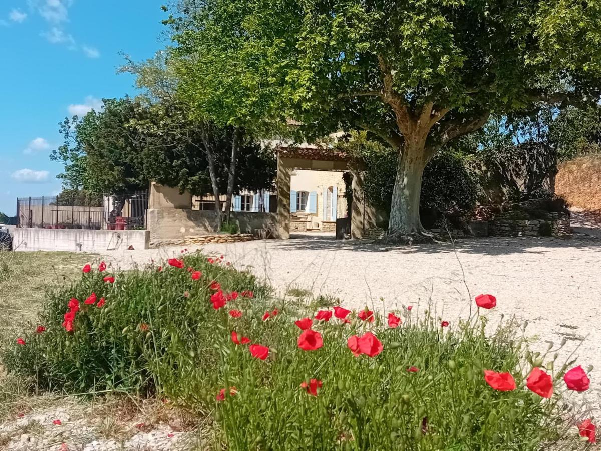 Вілла Ferme De L'Arnesque Шатонеф-дю-Пап Екстер'єр фото